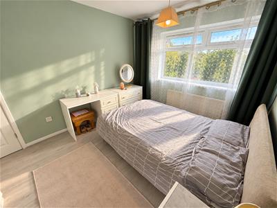 Picture 14